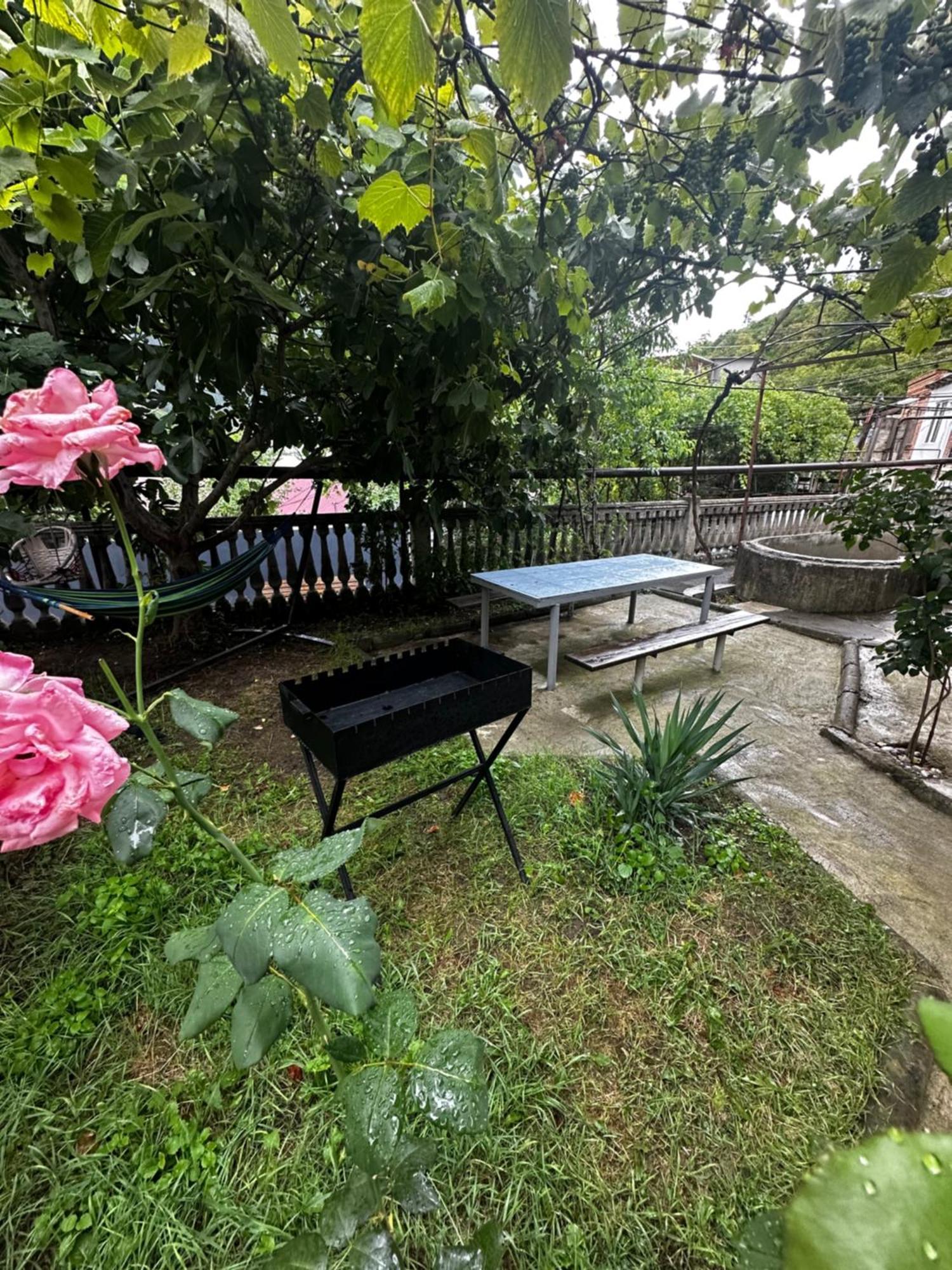 Shota'S Guest House Borzsomi Kültér fotó